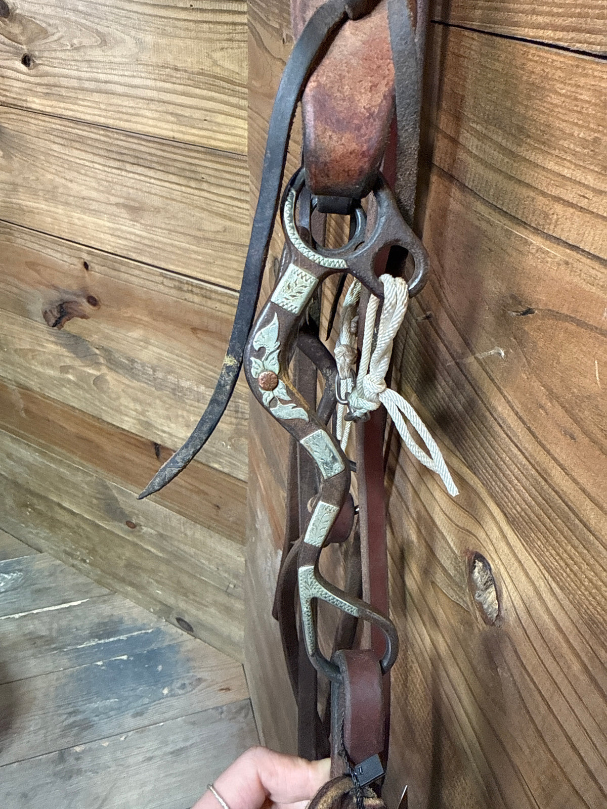 ISUB094 Ricky Trammel Bridle