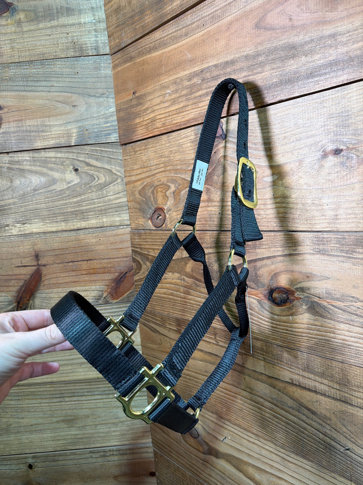 Nylon Yearling Buckle Halter Black