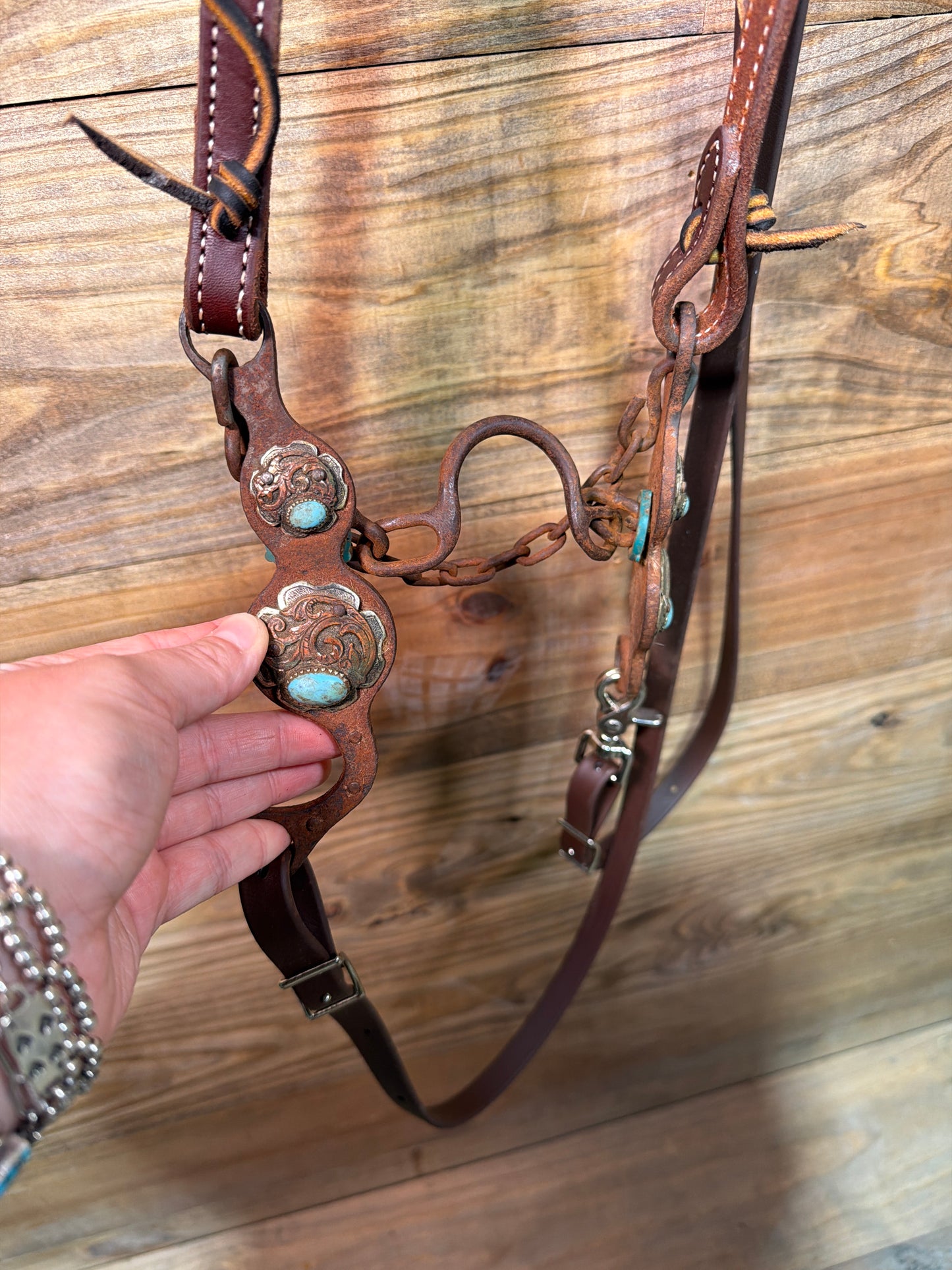 ISUB077 Petska Chain Port Bridle