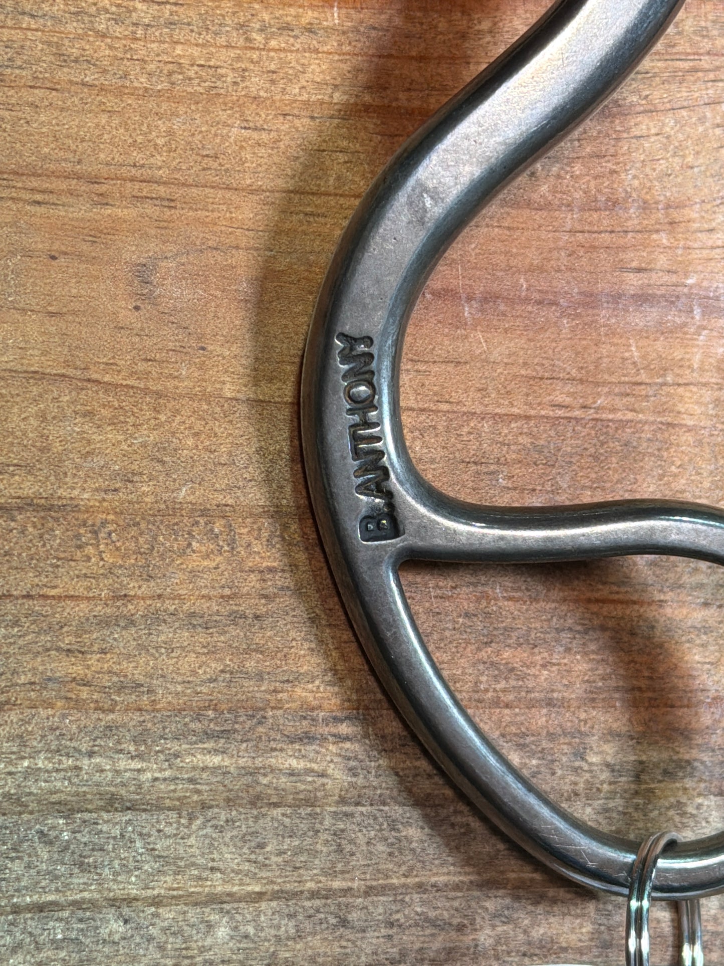 ISBIT157 Brandon Anthony Ported Snaffle