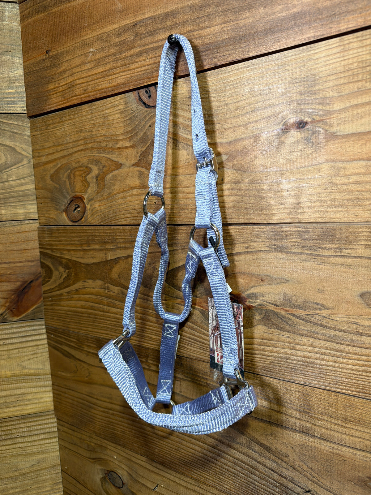 Pony/Colt Billy Cook Buckle Lavender
