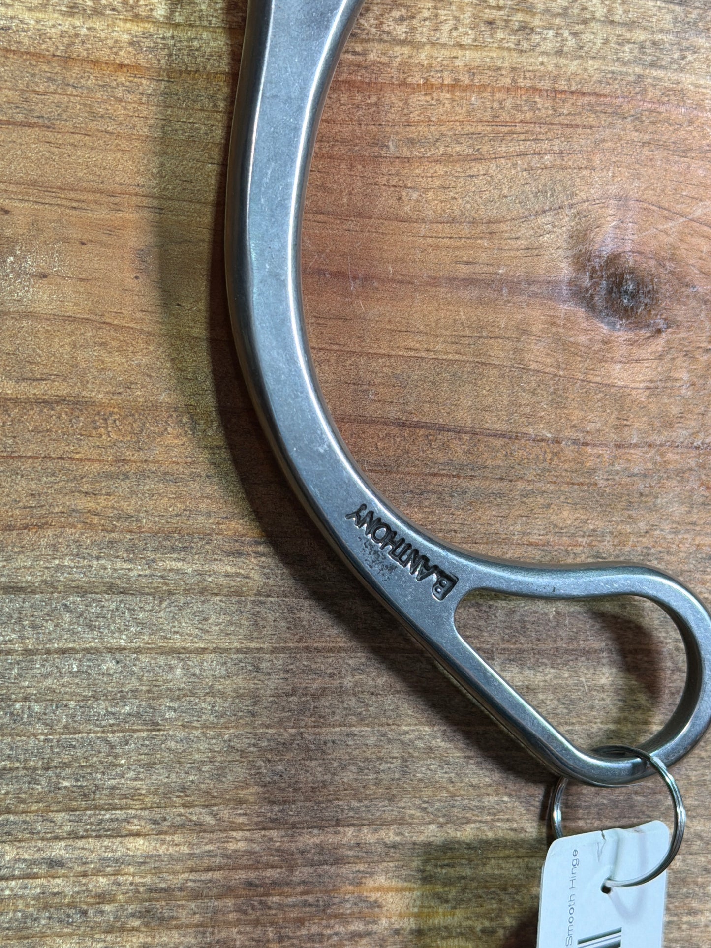 ISBIT153 Brandon Anthony U Correction Smooth Hinge