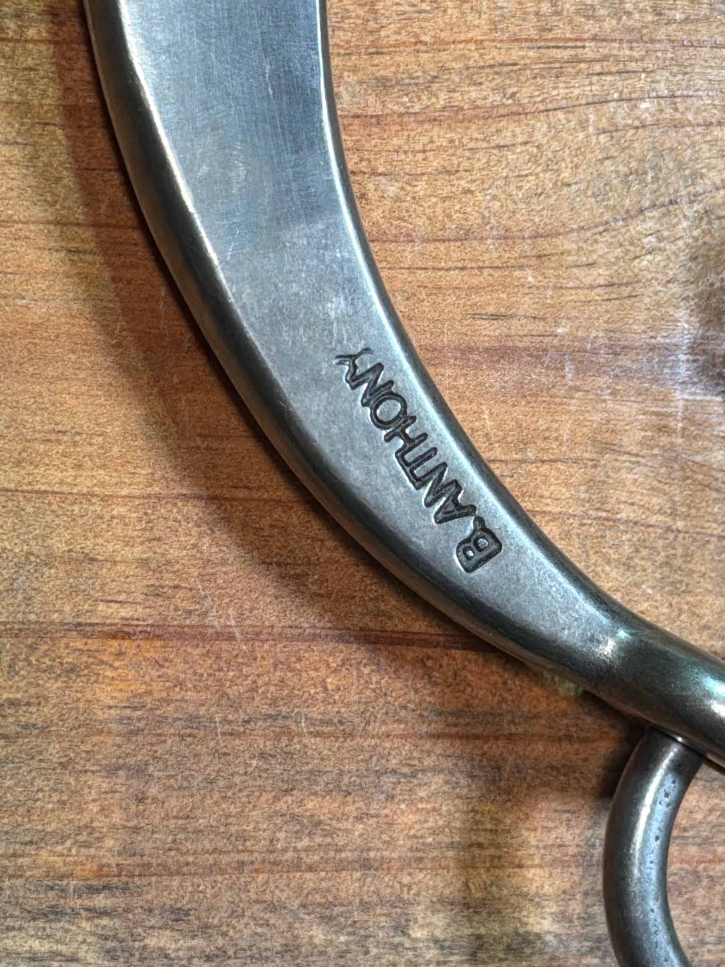 ISBIT156 Brandon Anthony Hinge Port