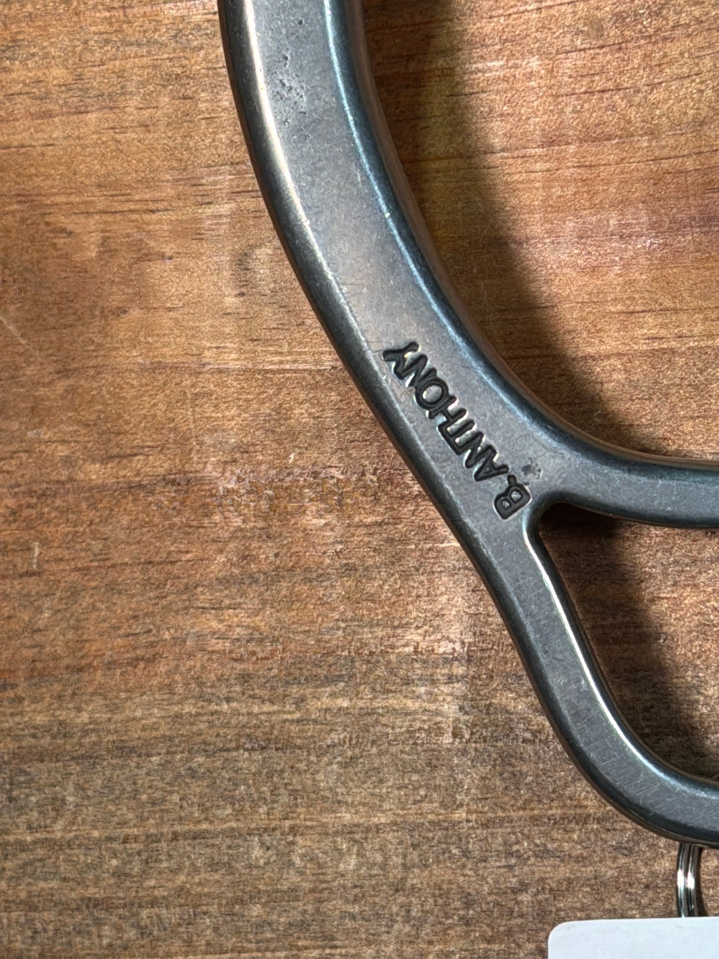 ISBIT161 Brandon Anthony Chain Port