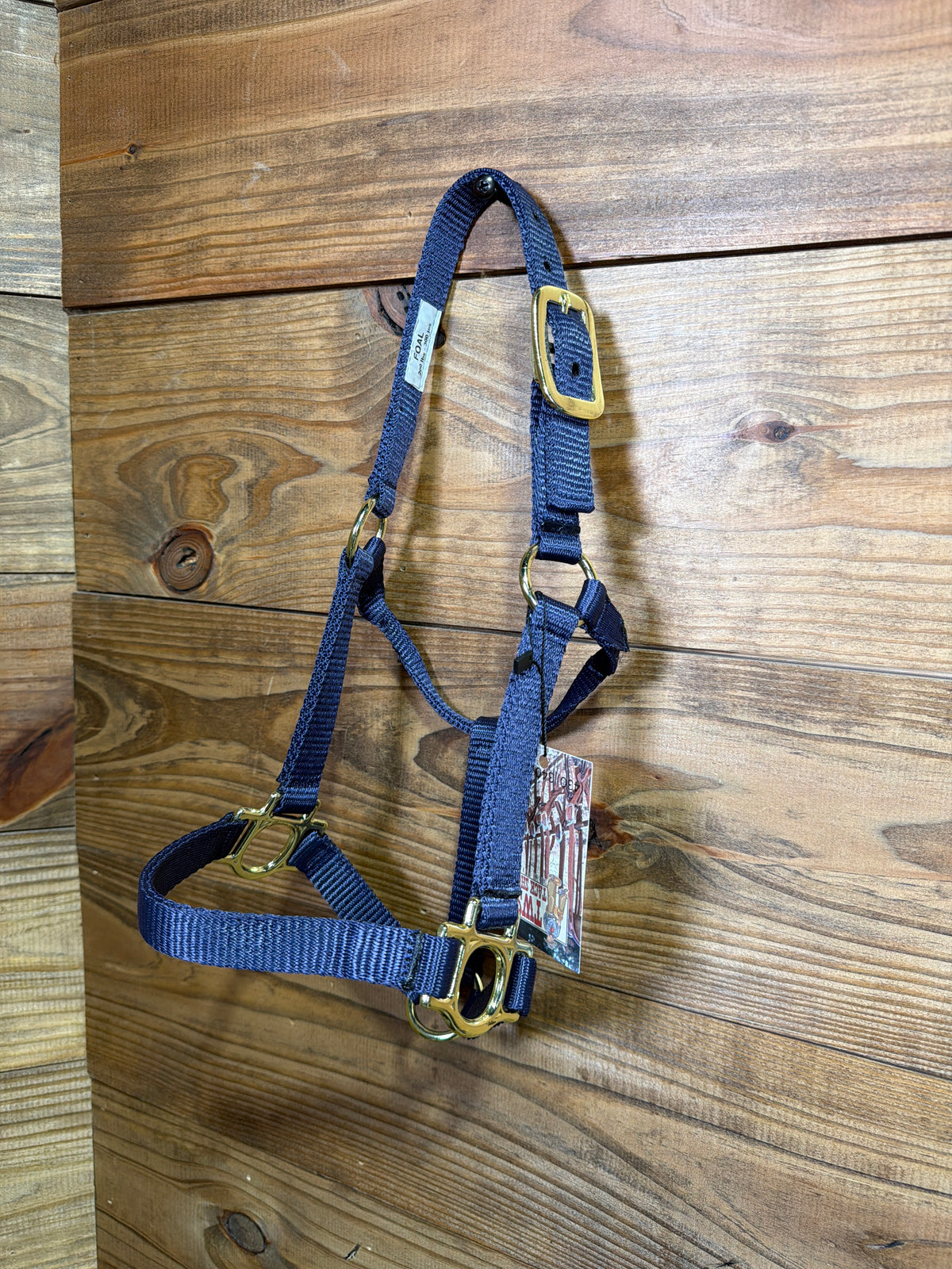 Foal Buckle Halter Navy