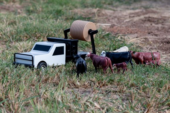 Little Buster's Truck Cake Feeder Black