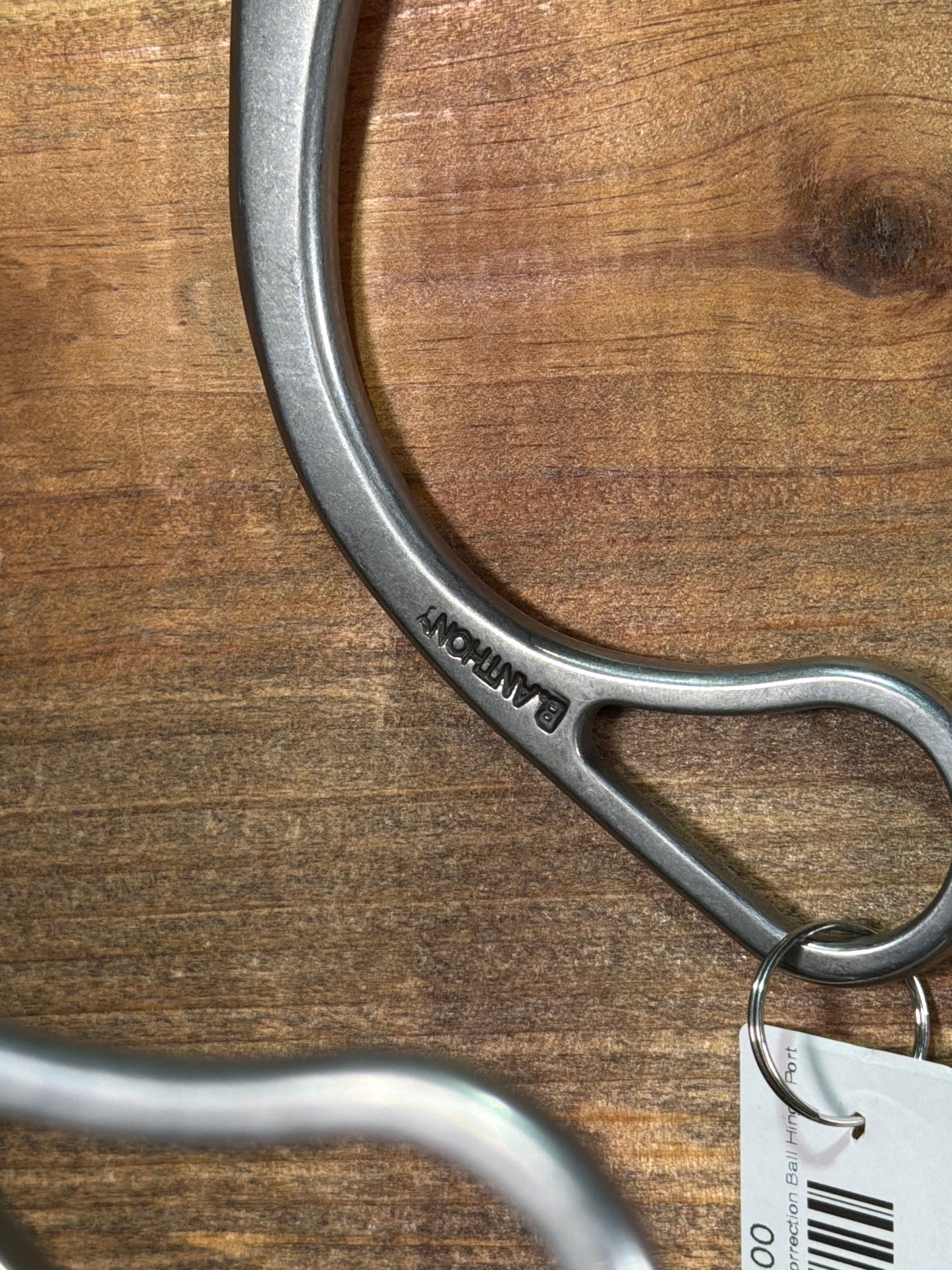 ISBIT152 Brandon Anthony U Correction Ball Hinge Port