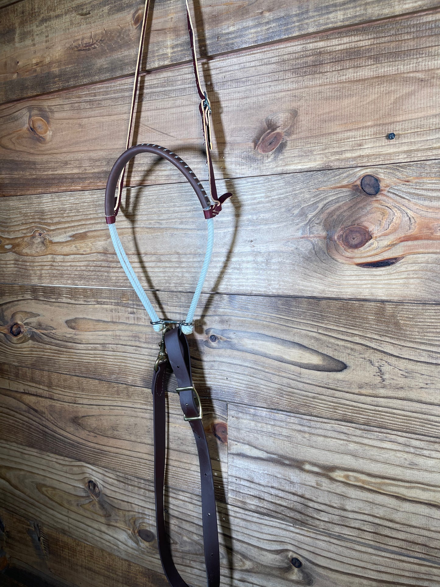 Professional Choice Double Rope Tie-Down Set