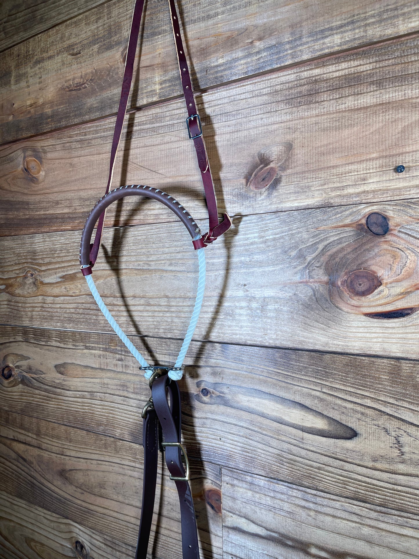 Professional Choice Rope Tie-Down Set