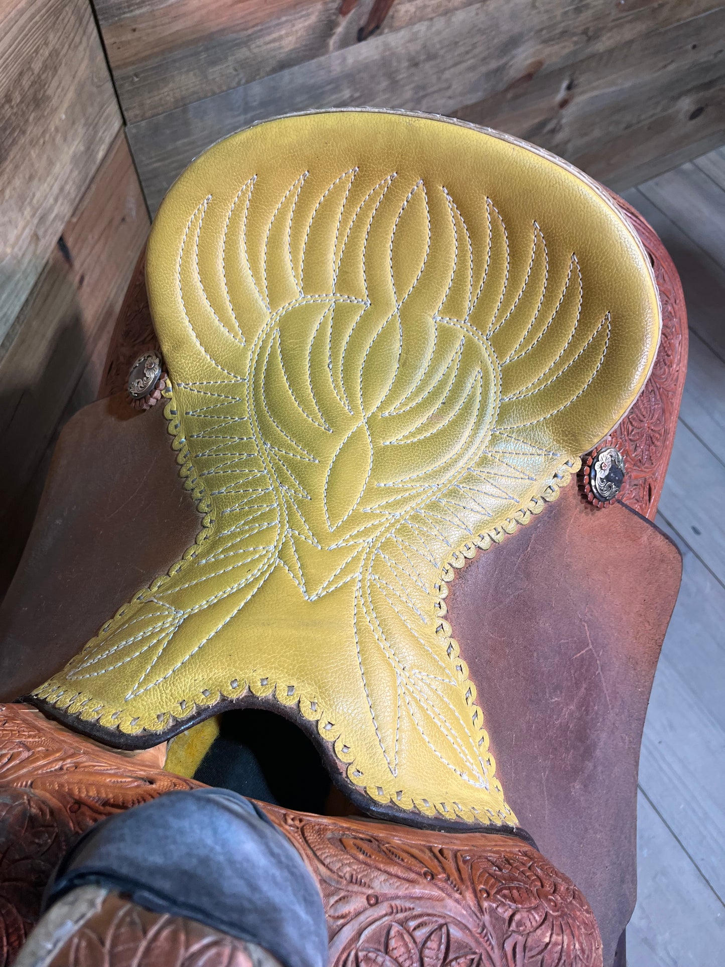 Trent Ward Platinum Roper ISUSED1960