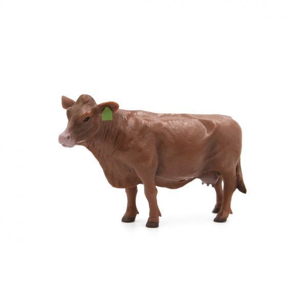 Little Buster's Red Angus Cow
