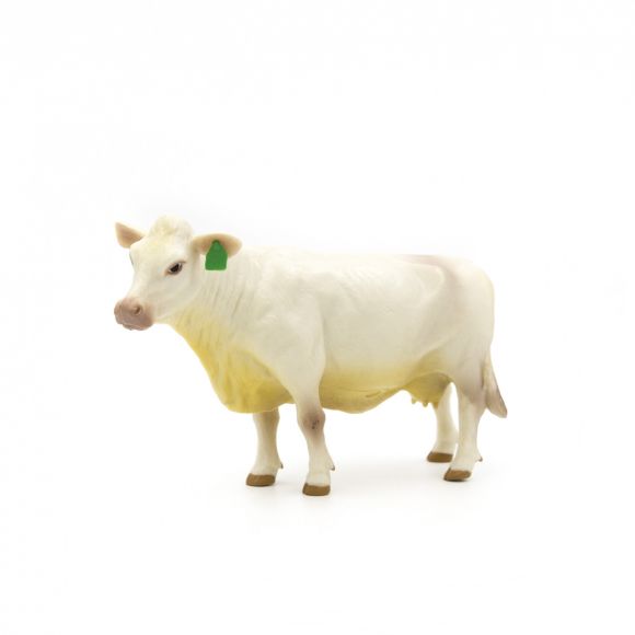 Little Buster's Charolais Cow