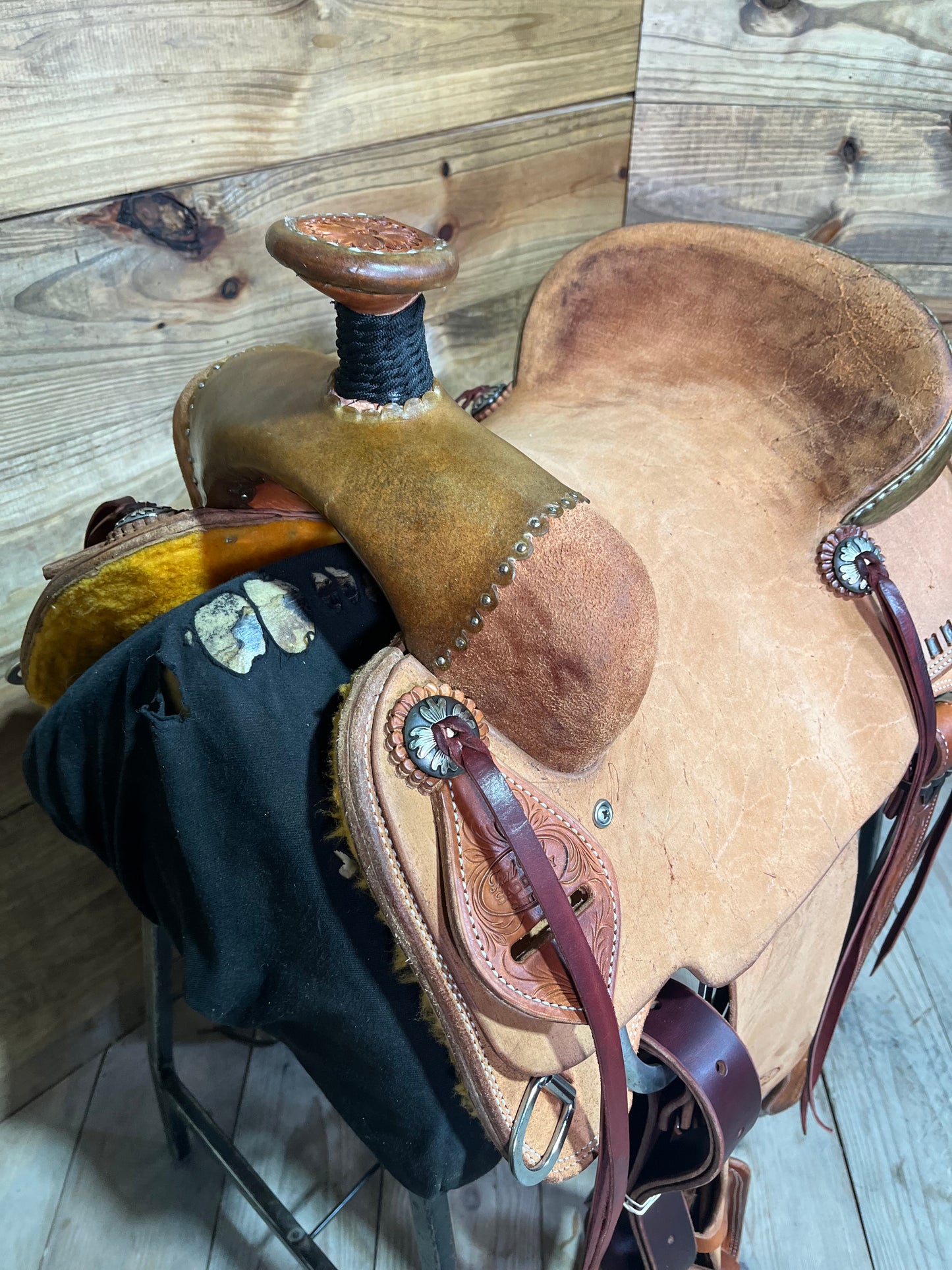 Trent Ward AZ Roper ISTR479-25