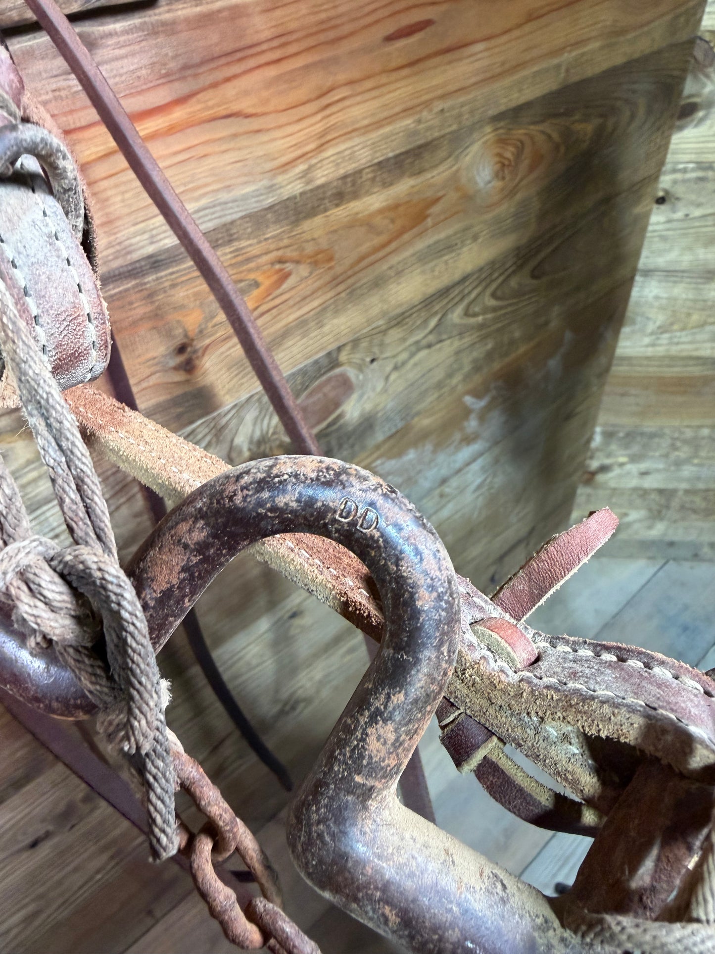 ISUB050 Daryl Davis Baby Elephant Bit