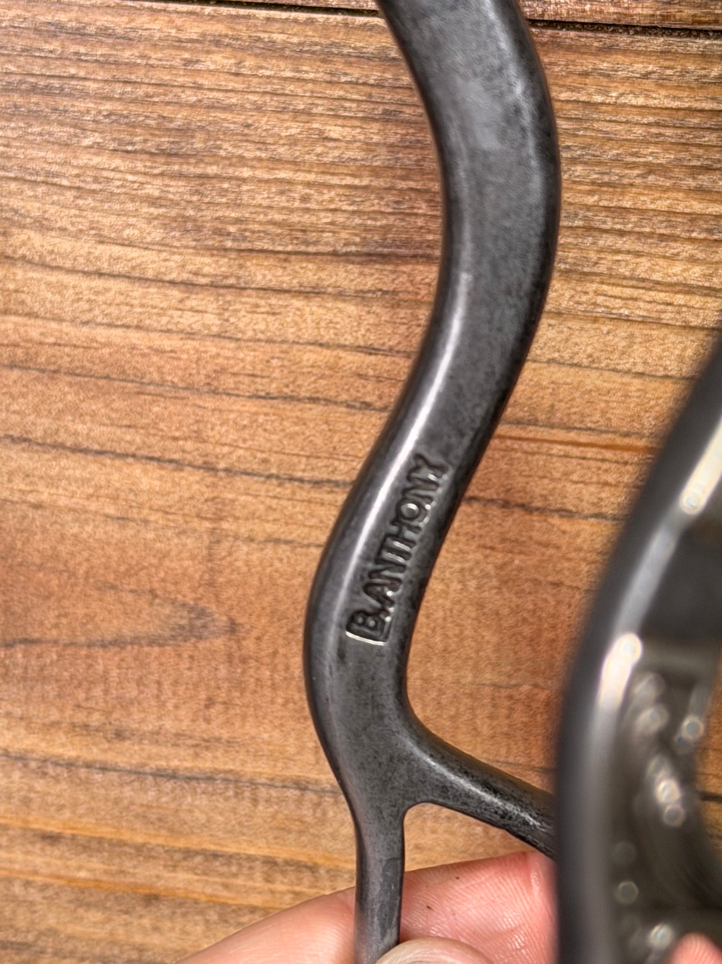 ISBIT179 Brandon Anthony Short Hackamore