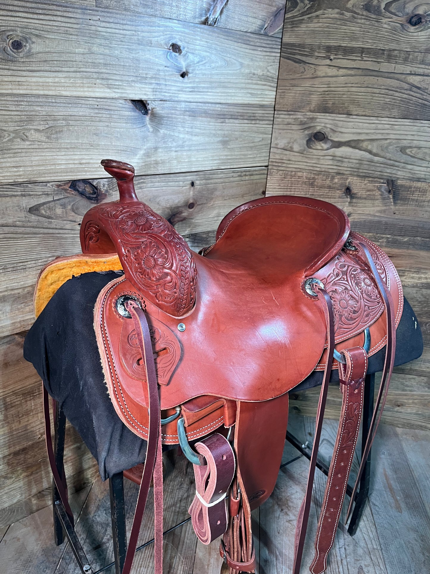 Trent Ward Cowhorse ISUSED1349