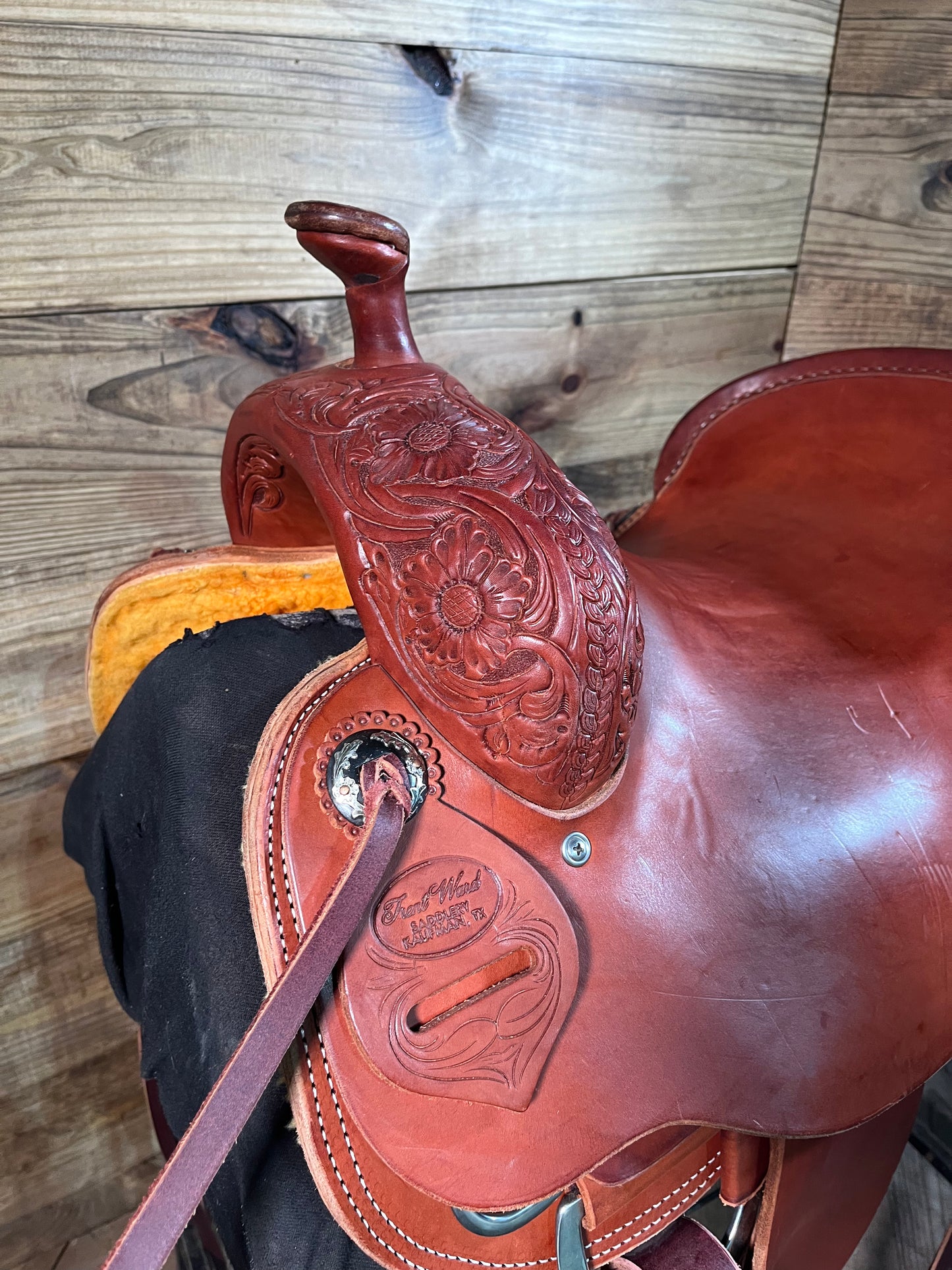 Trent Ward Cowhorse ISUSED1349