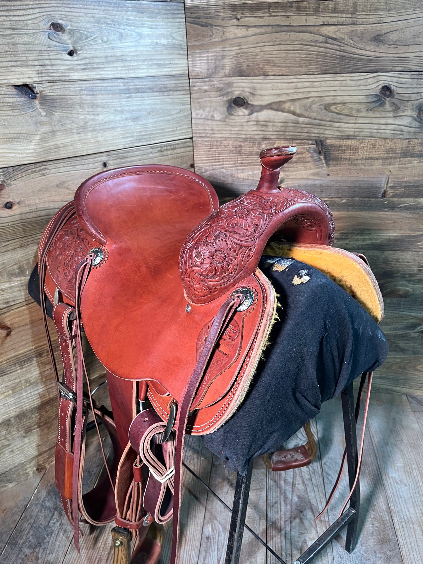 Trent Ward Cowhorse ISUSED1349