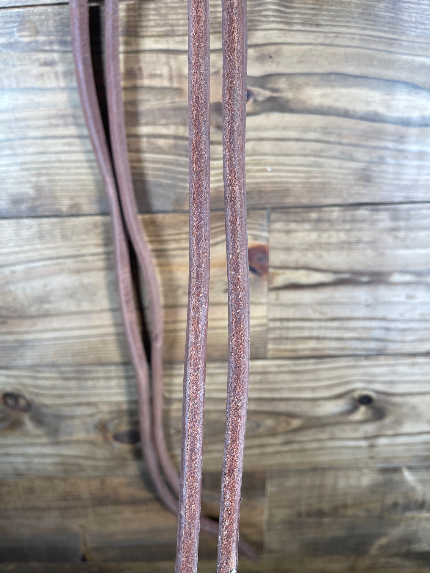 Oiled Weighted Split Reins