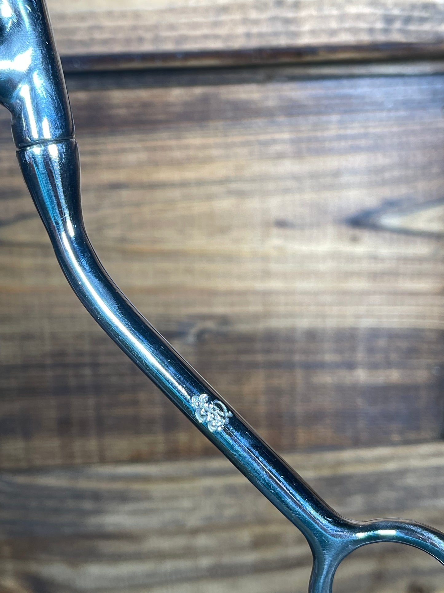 Josh Ownbey Big Bridle ISBIT05