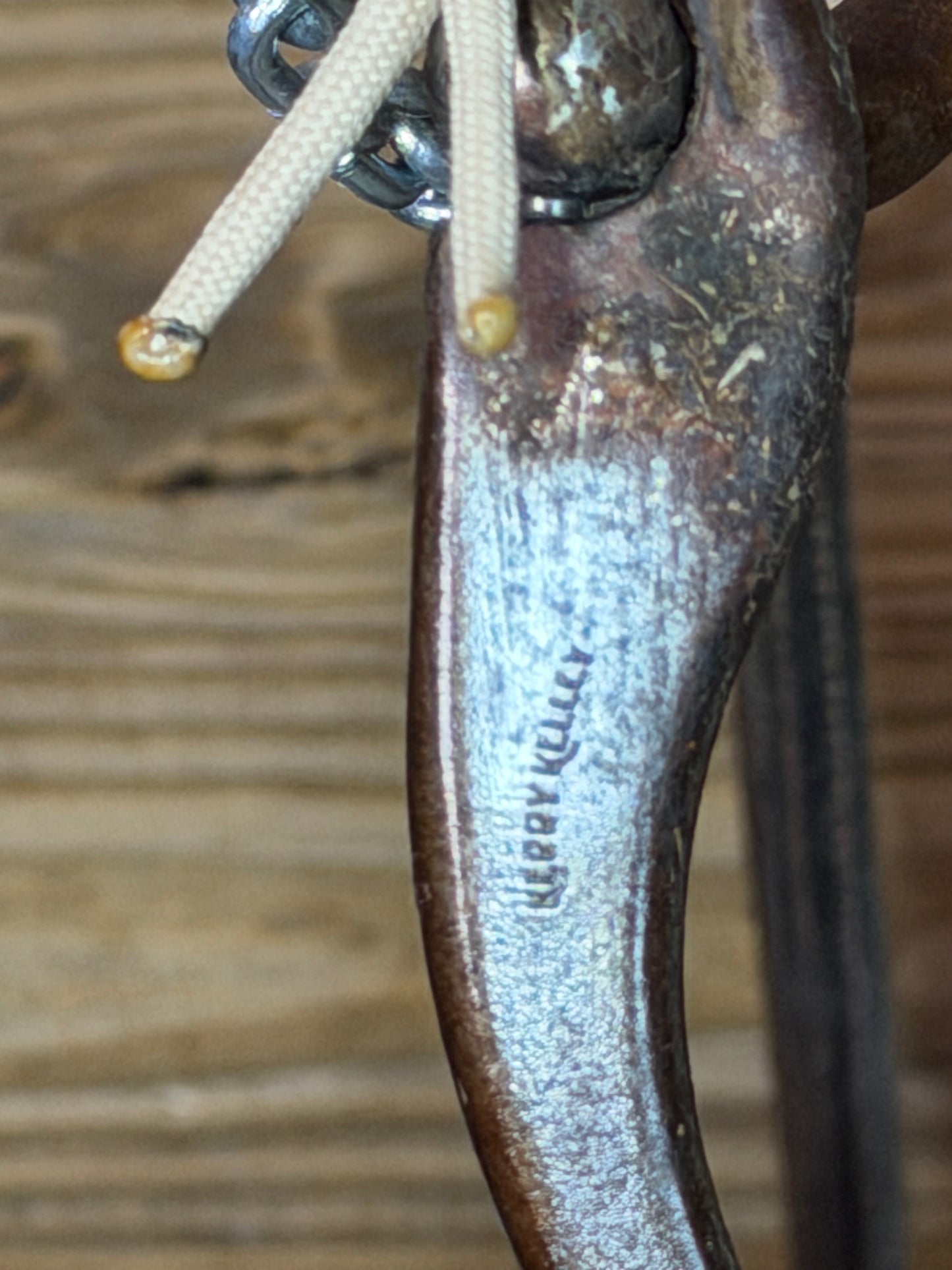 ISUB082 Kerry Kelly Mounted Bridle