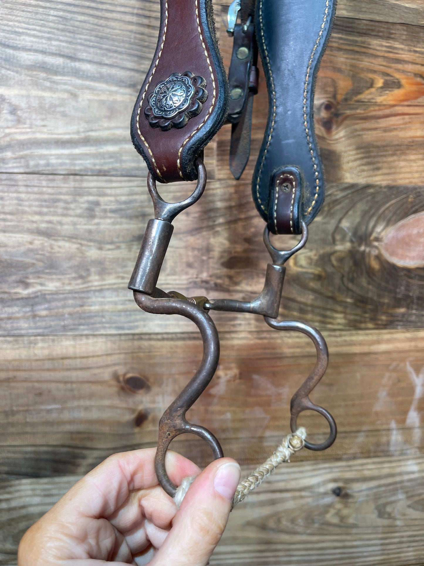 Dave Kennedy Headstall w/ Dog Bone USEDTACK28