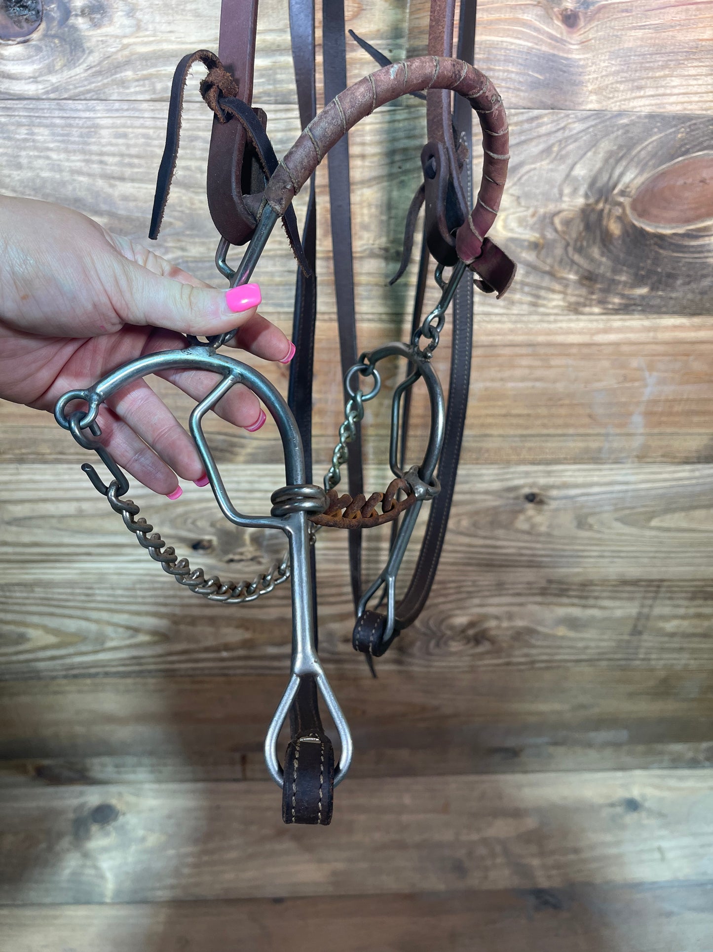 Lynn McKenzie Copy Combination Bridle USEDTACK45