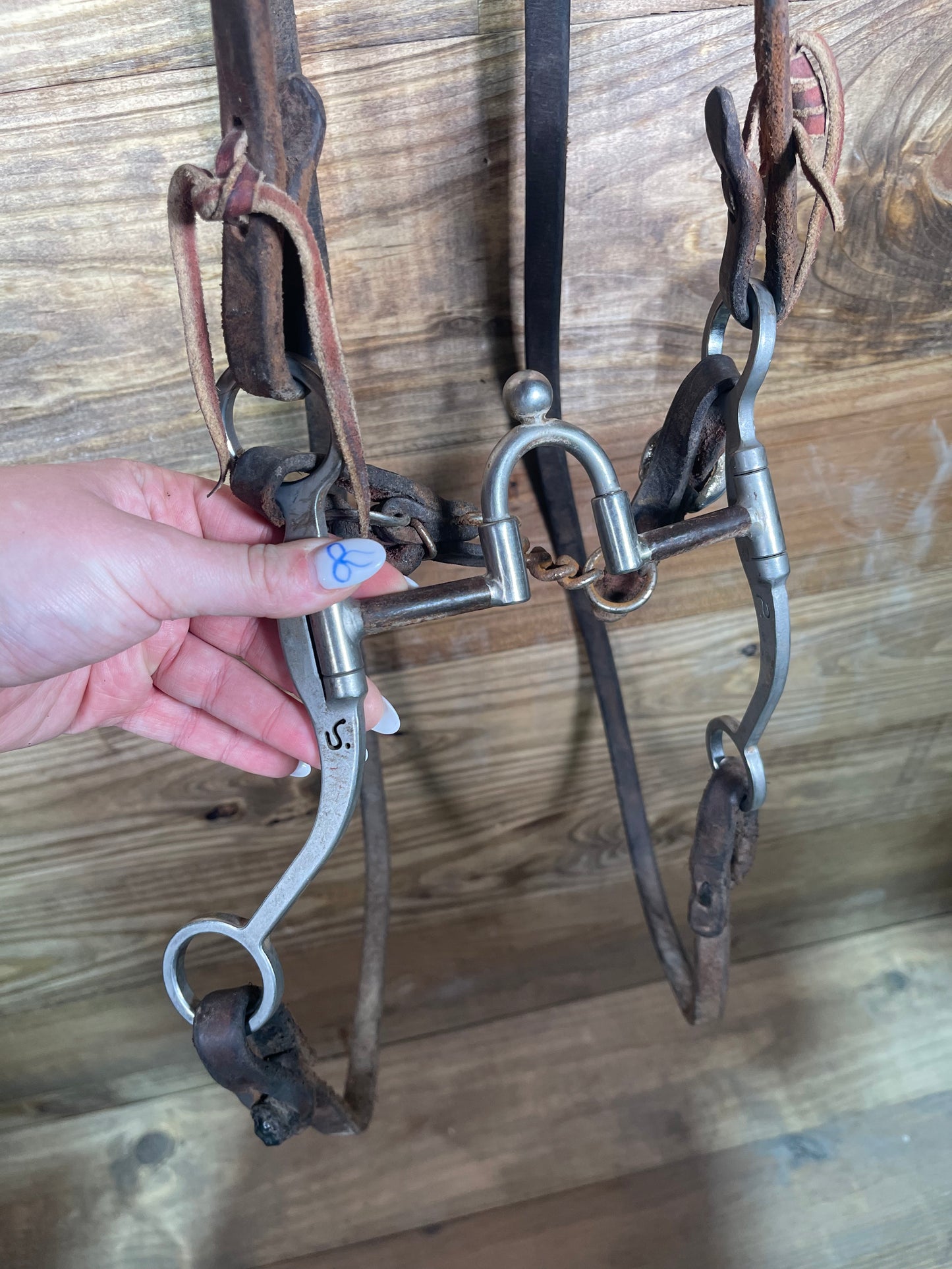Correction Bridle USEDTACK63