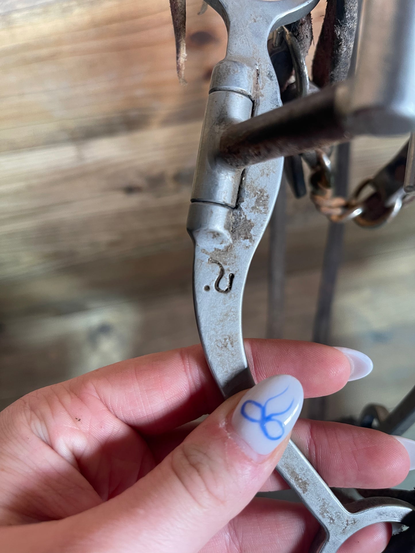 Correction Bridle USEDTACK63