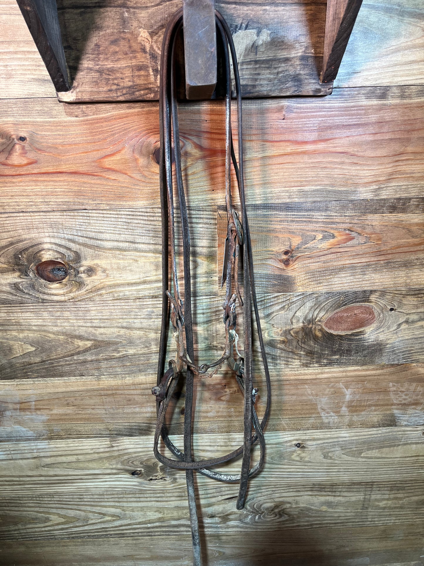 ISUB024 Randy Arnold Bridle