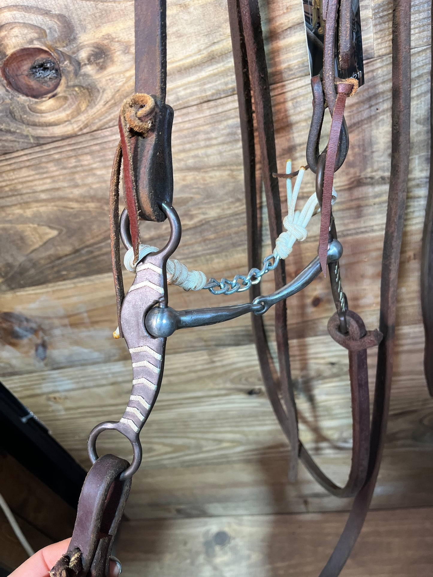 ISUB028 professional Choice Bridle