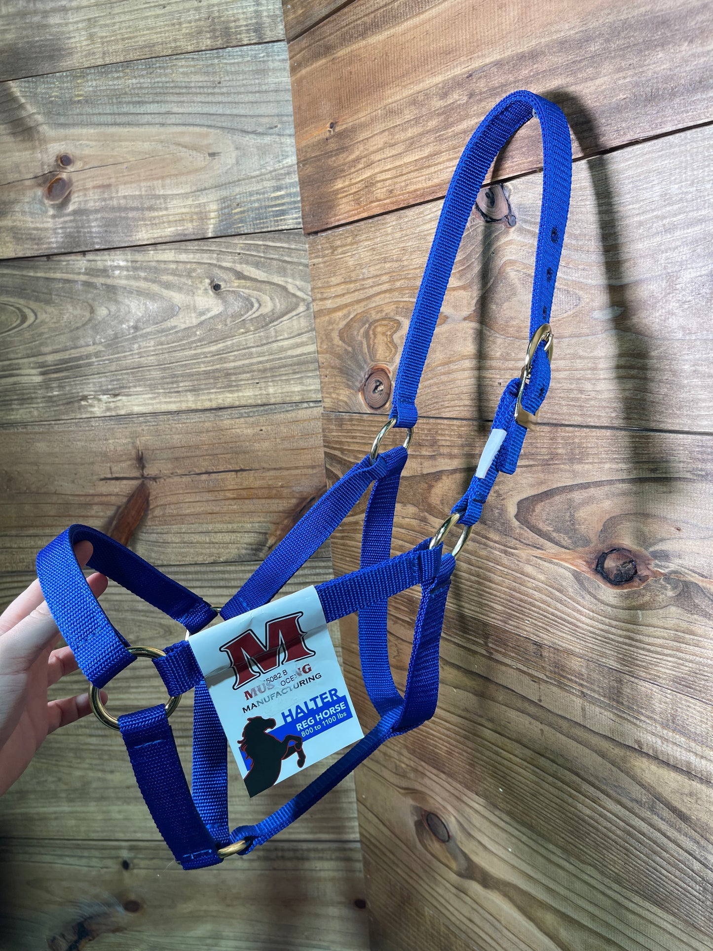 Mustang Economy Halters