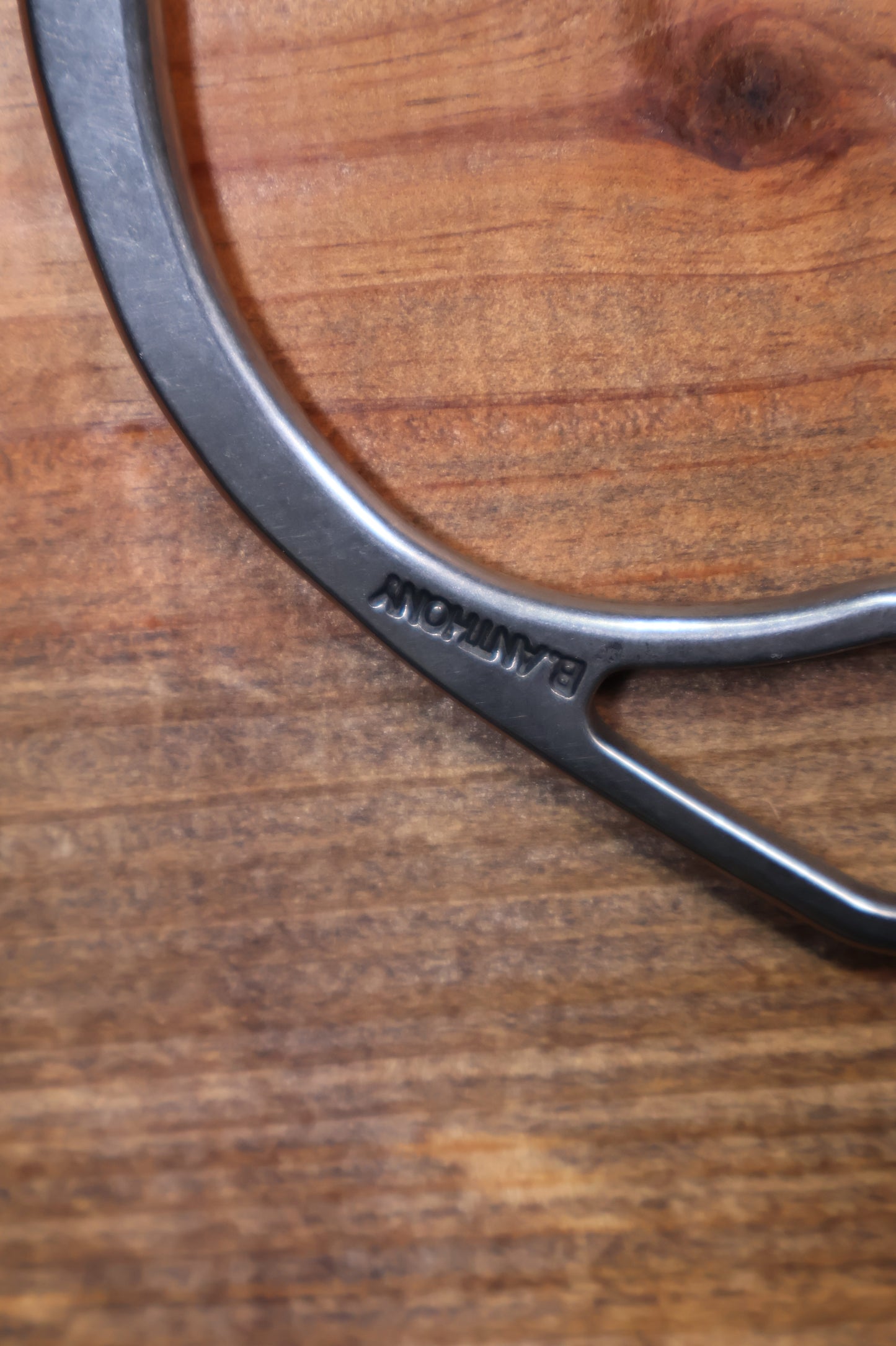 ISBIT116 Brandon Anthony 81 Shank Correctional