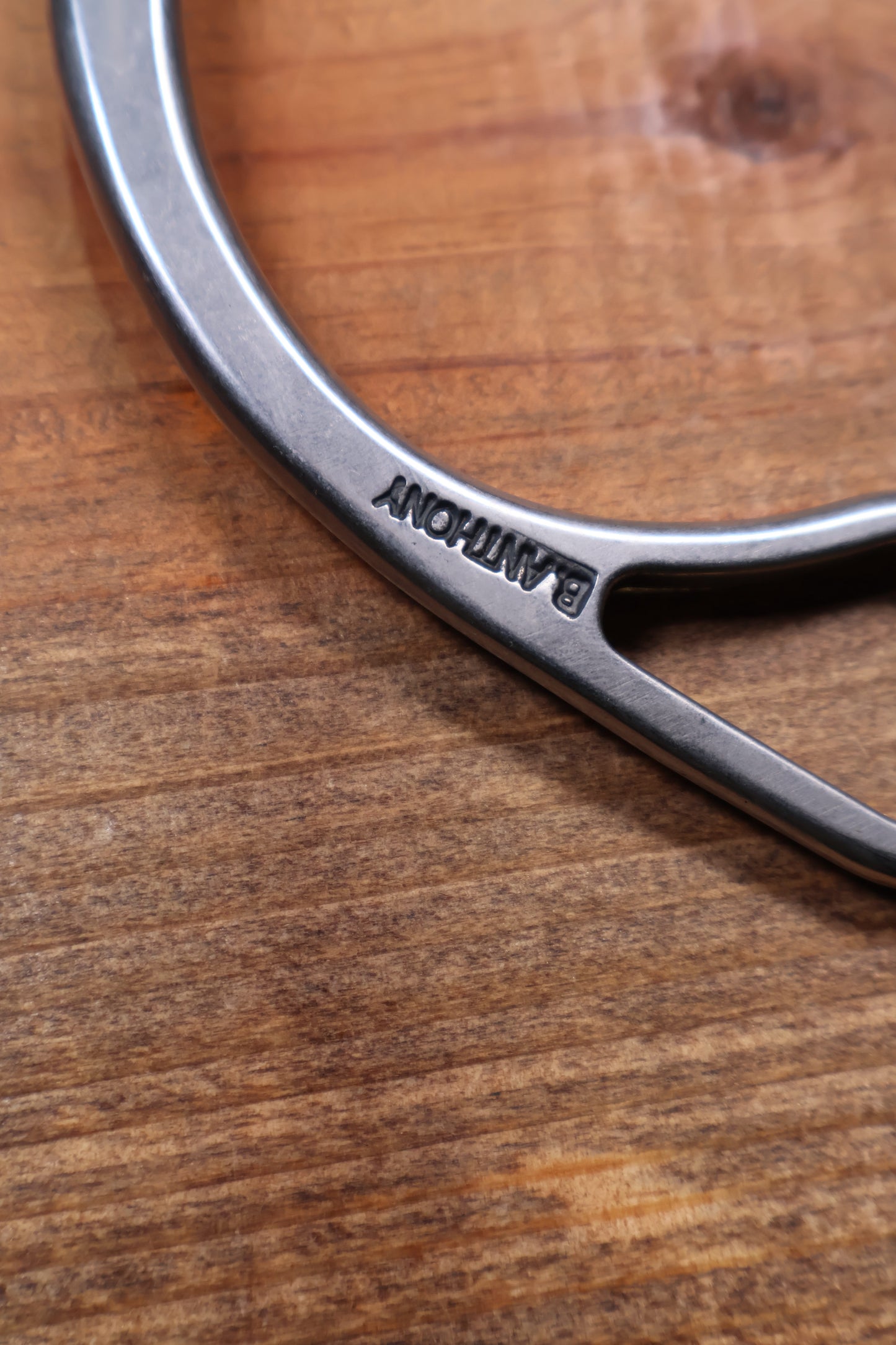 ISBIT119 Brandon Anthony 338-S Correction