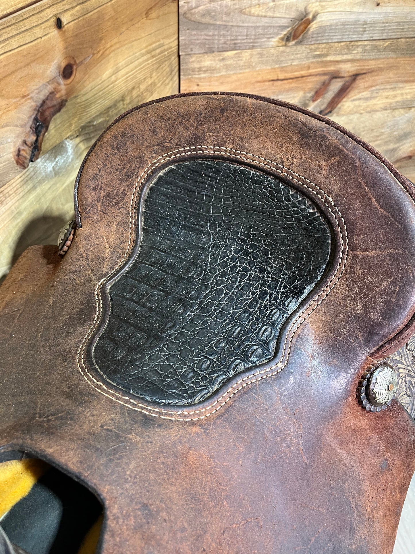 14” Trent Ward Platinum Roper ISUSED2242