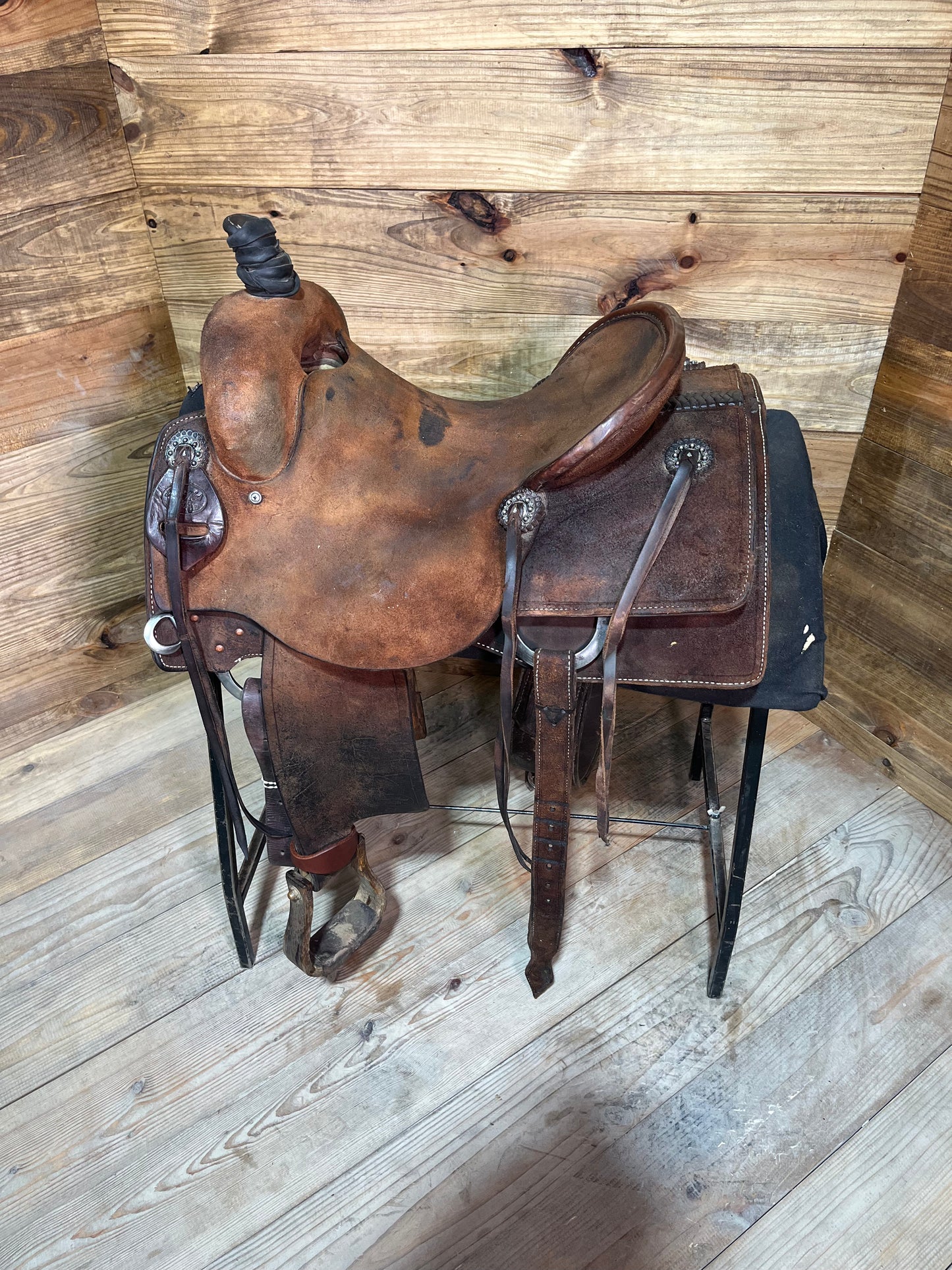 Trent Ward Cow Horse ISUSED1591