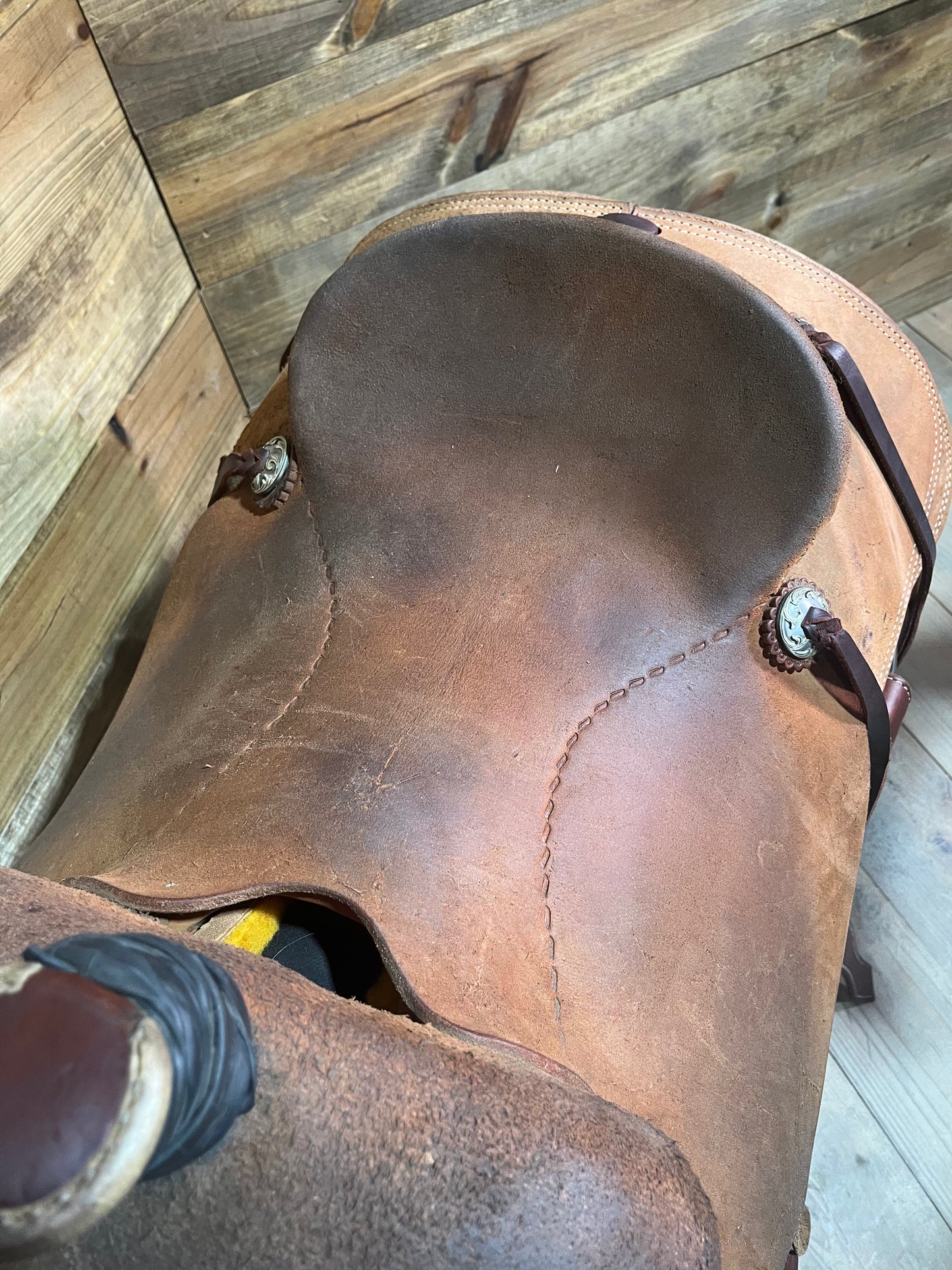 Demo Trent Ward WJ Ranch Roper ISUSED1615