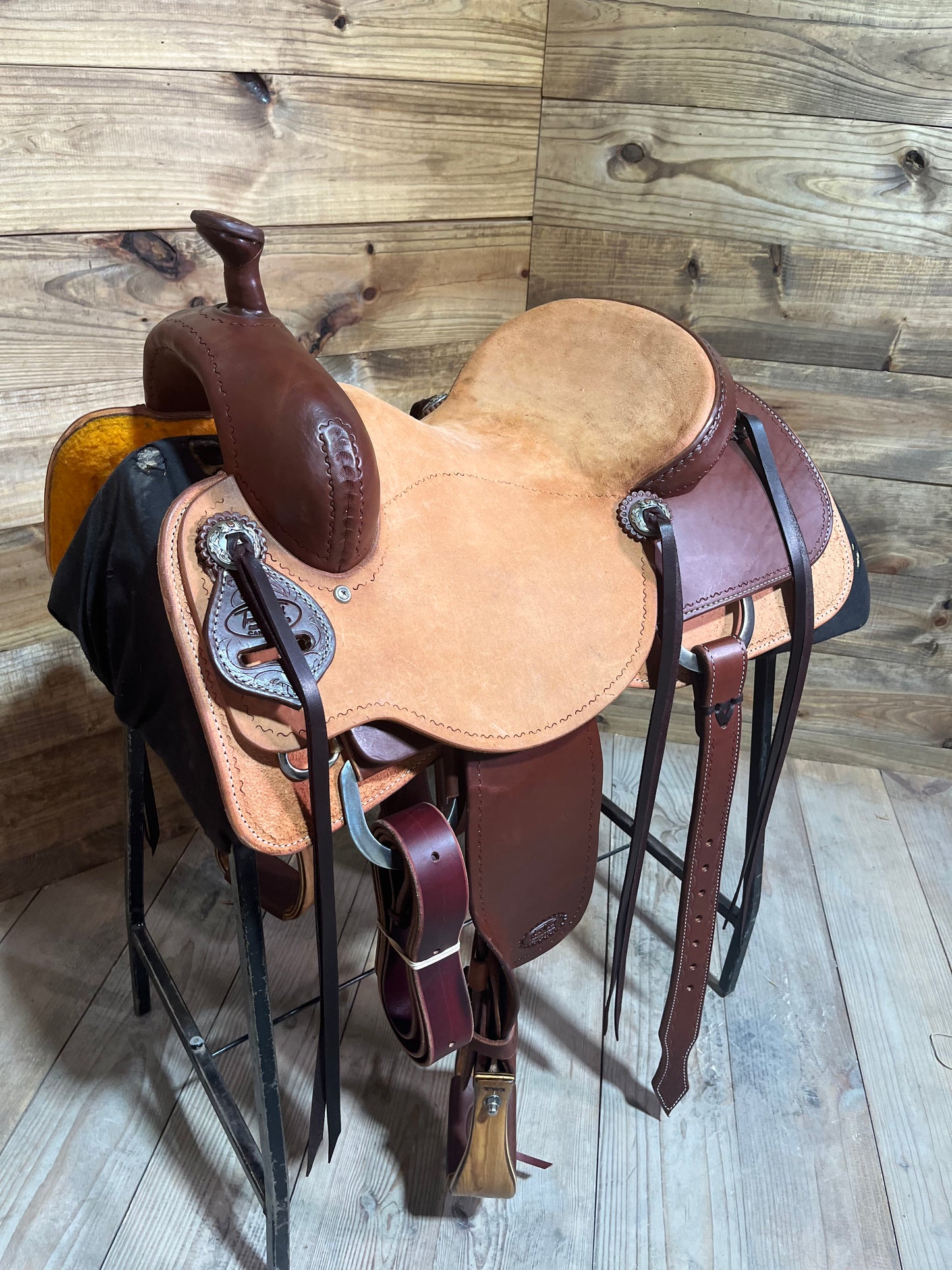Trent Ward Cow Horse ISCH142-25