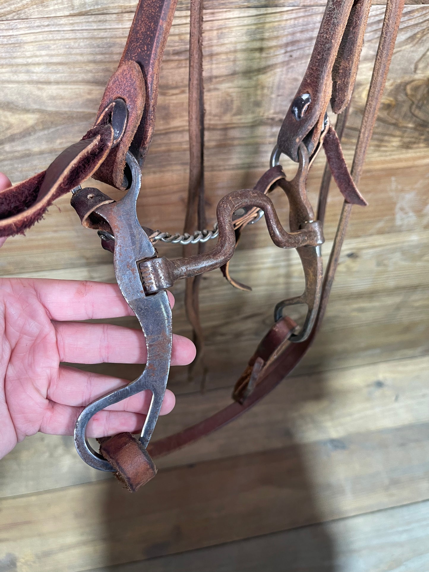 ISUB033 Cowpuncher Bridle