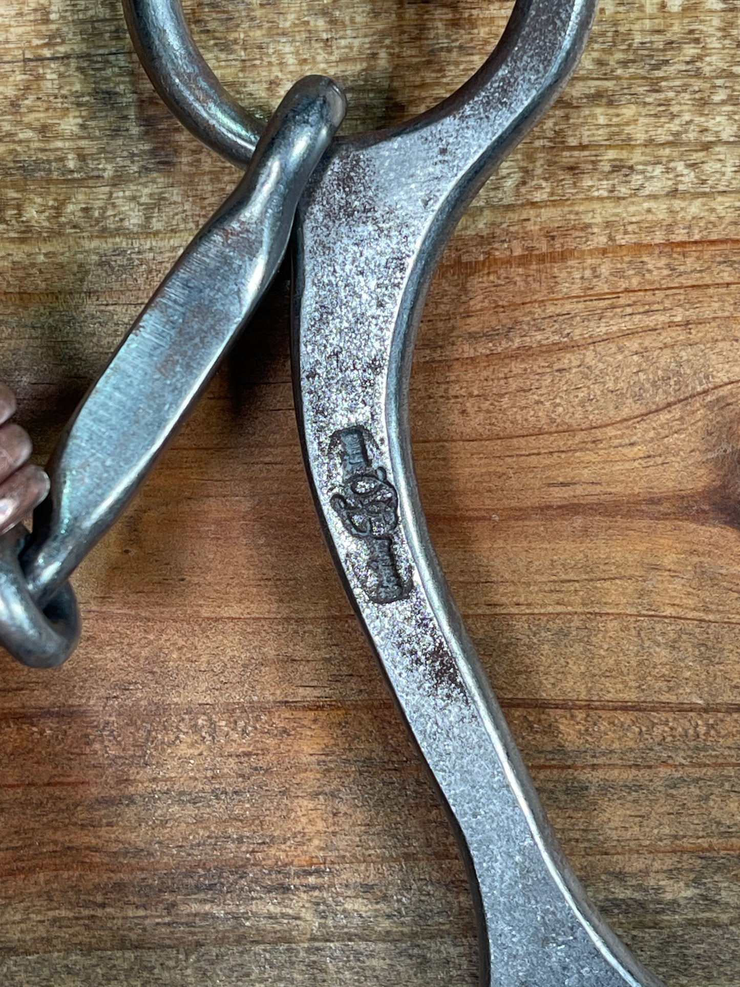 ISBIT90 Josh Ownbey Jr Cowhorse