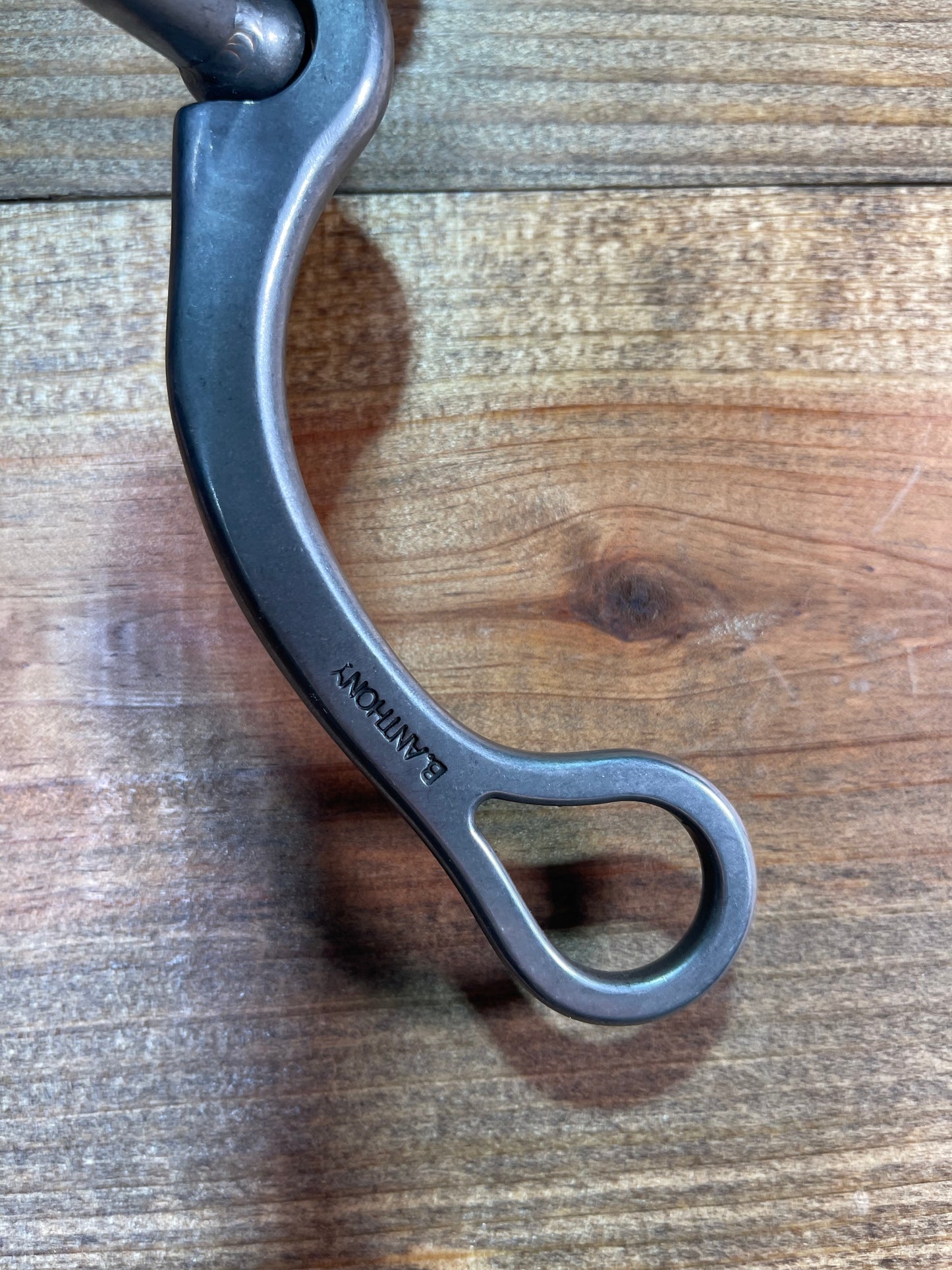 ISBIT104 Brandon Anthony Correction w/ 83 Shank