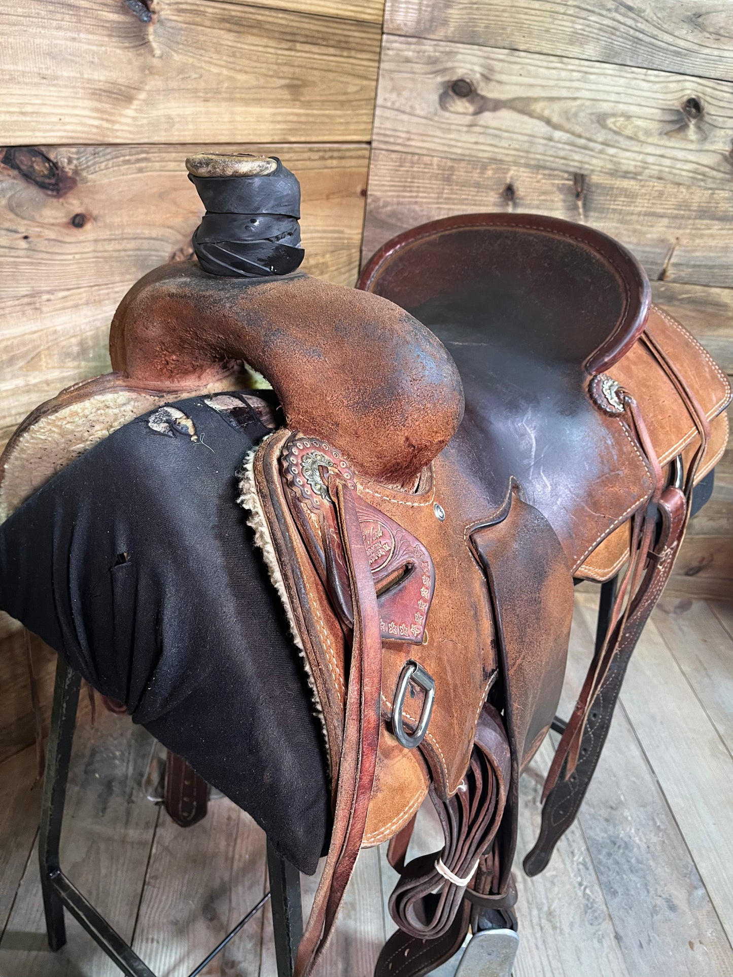 Trent Ward WJ Ranch Roper ISUSED1669
