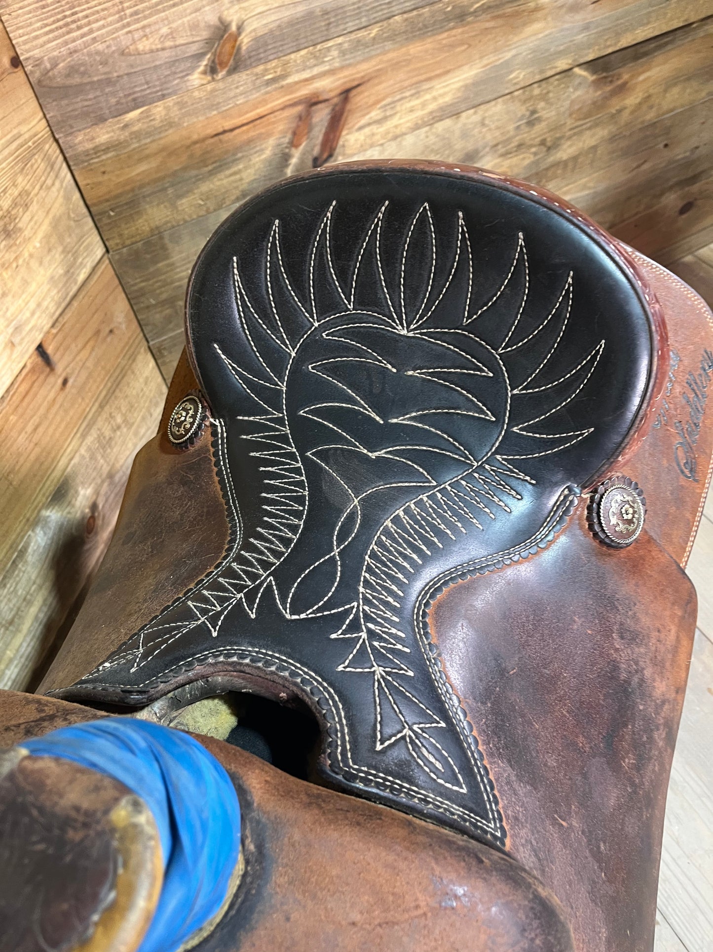 Trent Ward Platinum Roper ISUSED1670