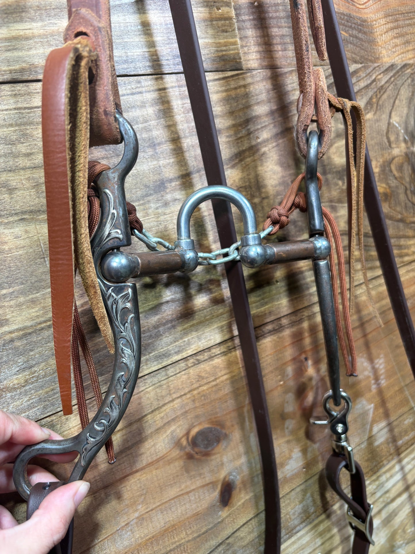ISUB001 Brandon Anthony Mounted Correctional Bit