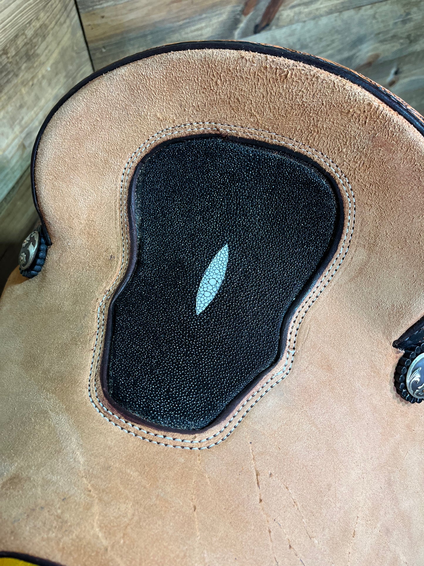 Trent Ward Platinum Roper ISPR948-24