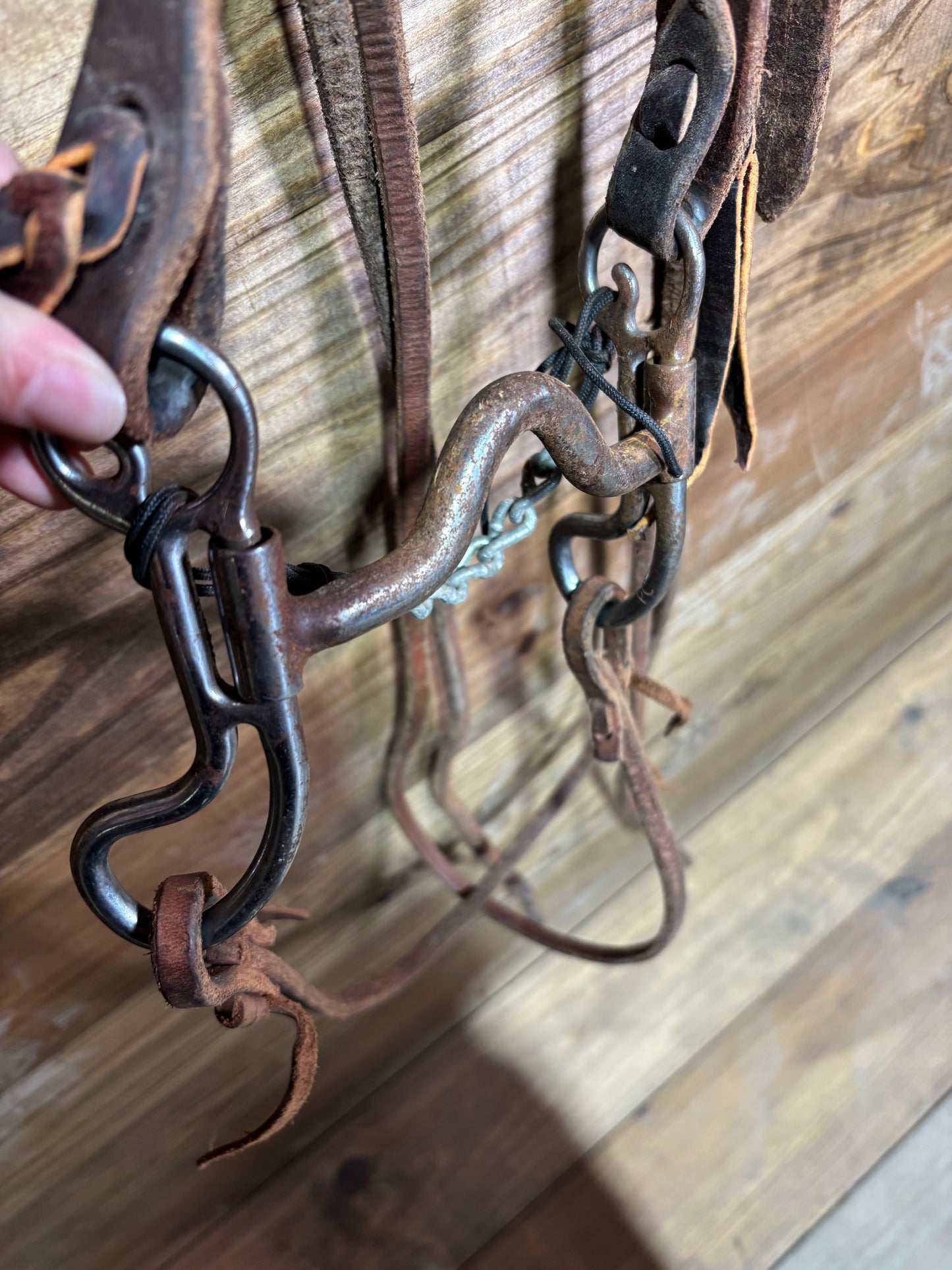 ISUB004 Professional Choice Bridle