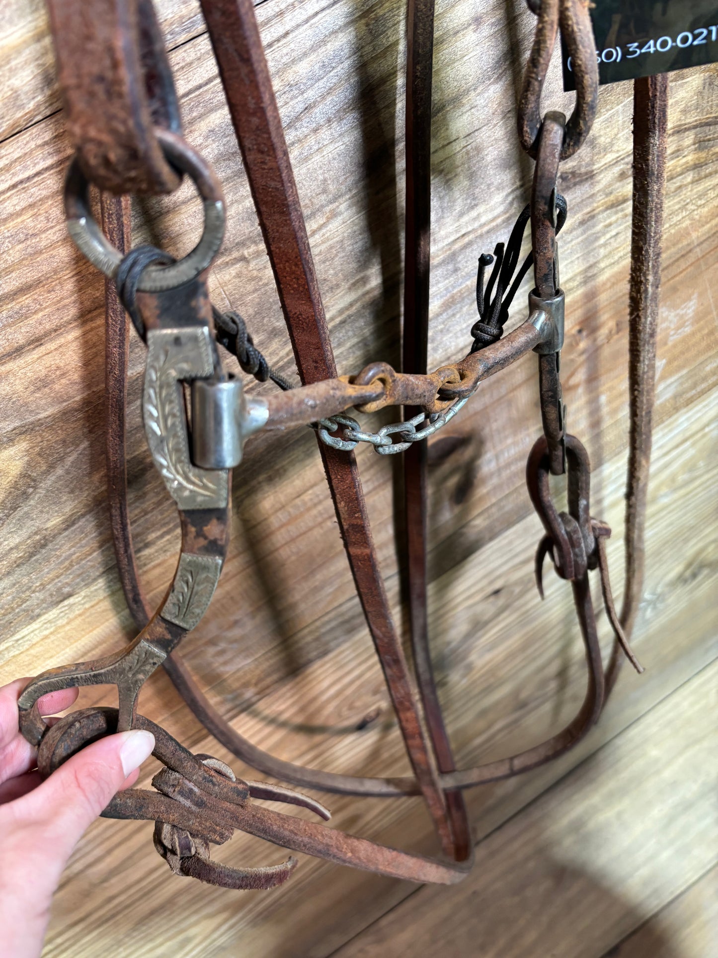 ISUB008 Classic Equine Dog Bone Snaffle Bridle