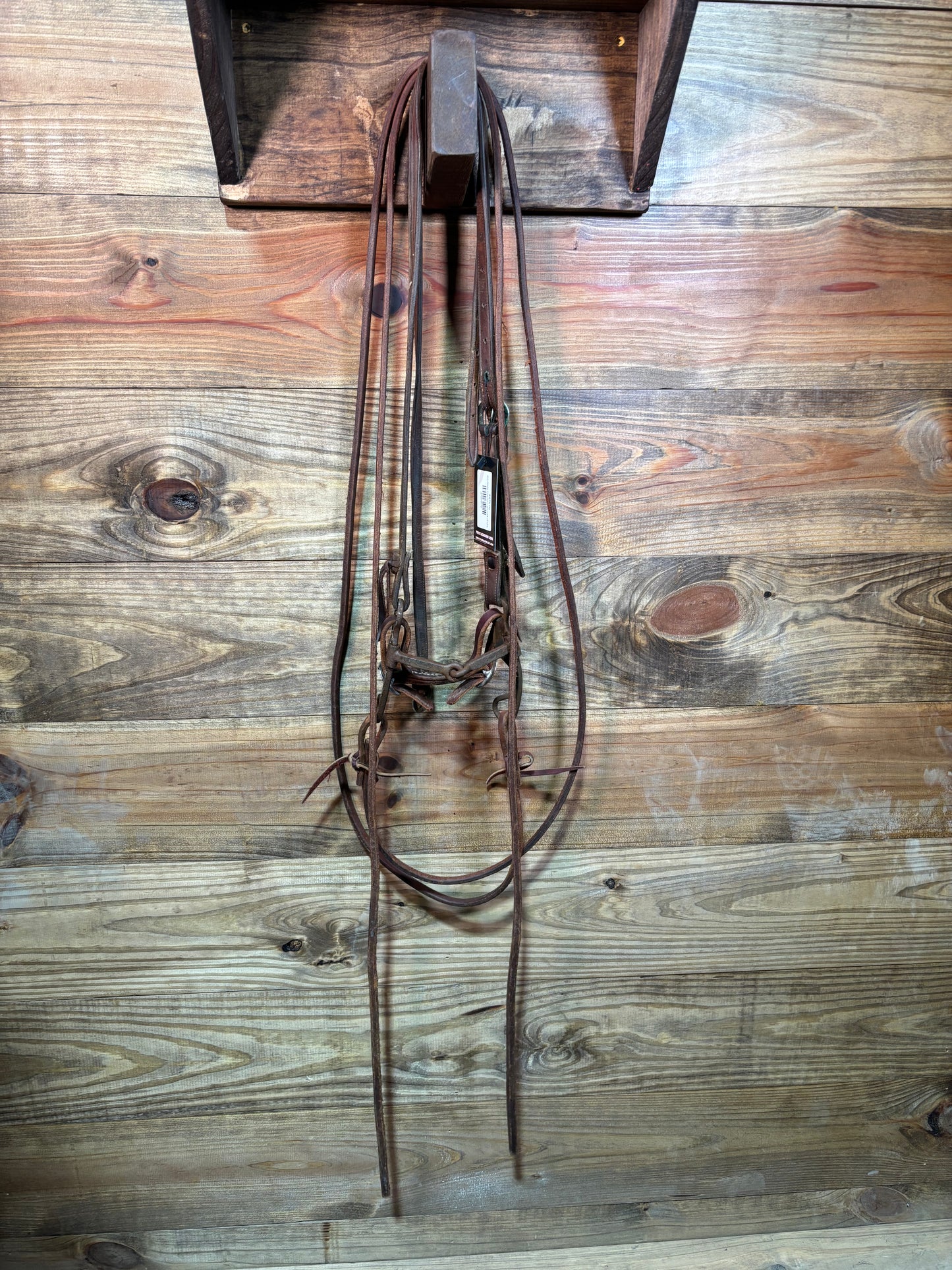 ISUB009 Dakota Lagunas Bridle