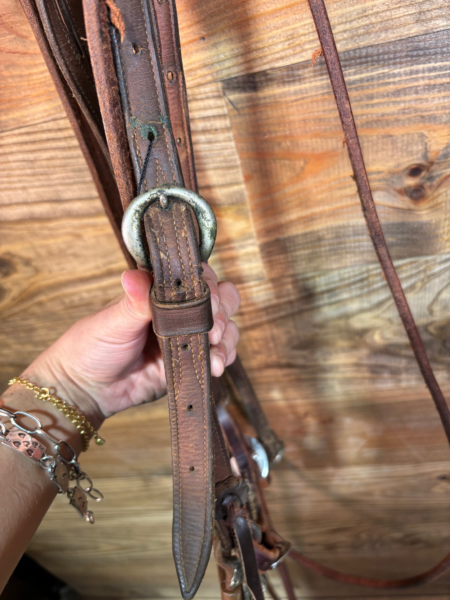 ISUB009 Dakota Lagunas Bridle