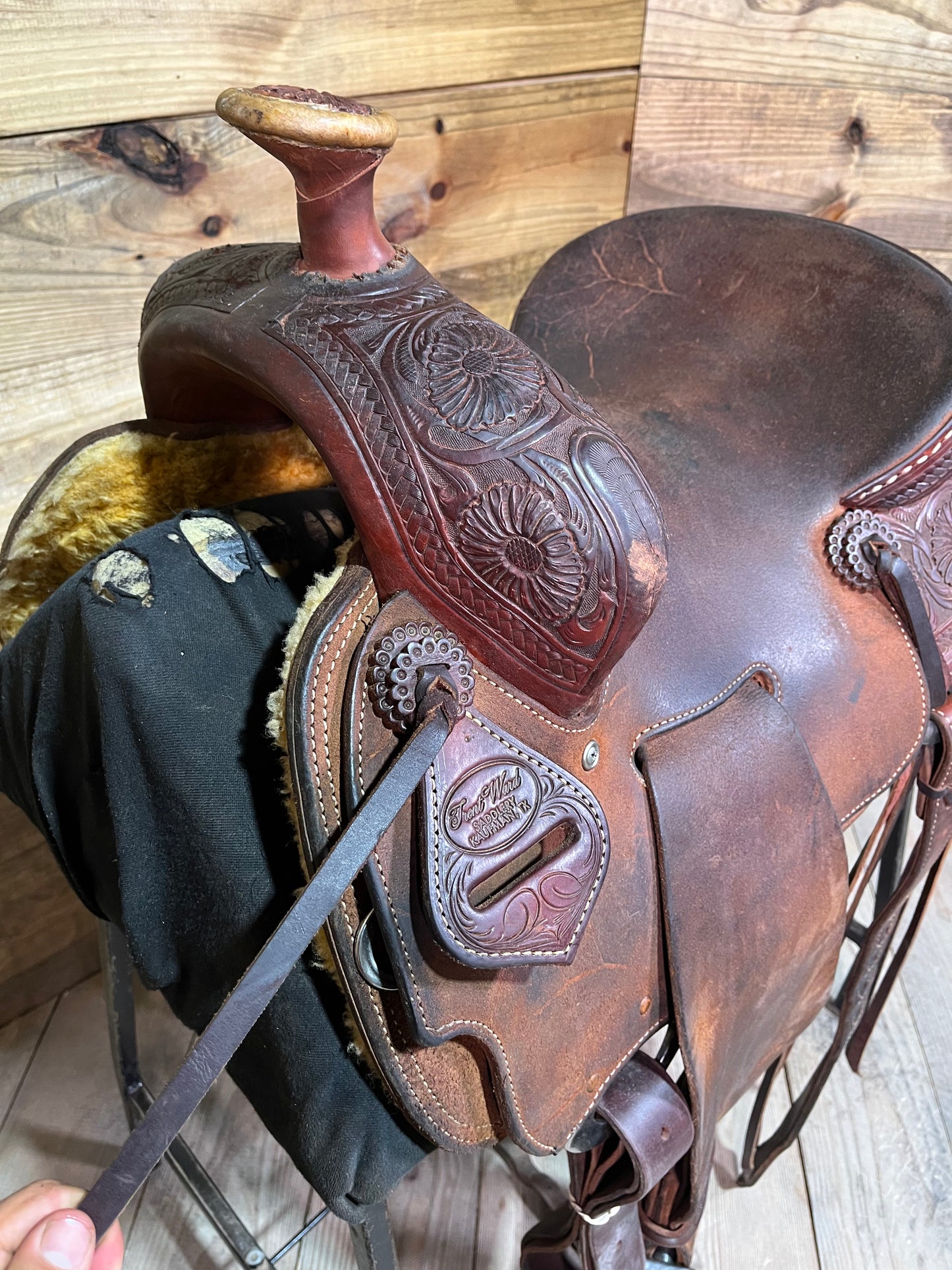 Trent Ward BC Rancher ISUSED1753